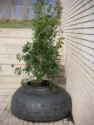 Sant Cugat fa una prova pilot amb jardineres flexibles de cautxú reciclat