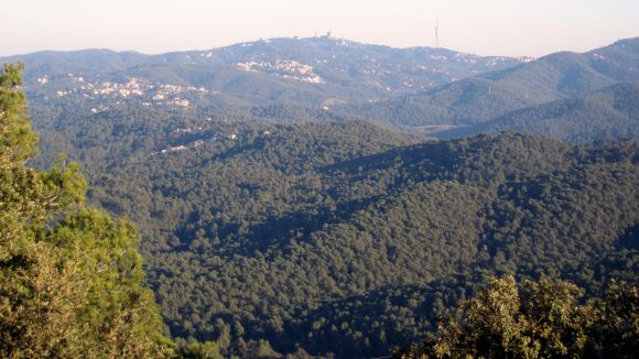 D'on ve el topònim de les Planes?