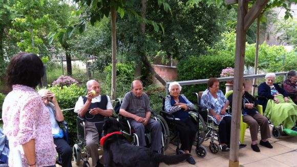 Sant Cugat, la ciutat de més de 20.000 habitants amb les pensions més altes