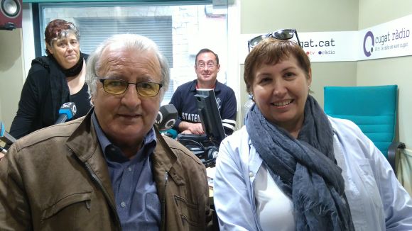 Què fer amb els animals perduts, a l'espai 'Gat i gos'