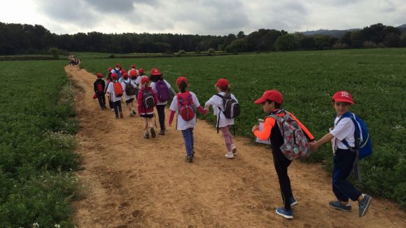 (10:15h) Els marxaires s'endinsen a Collserola