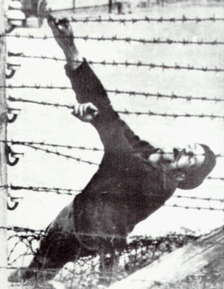 L'Ateneu acull una exposició sobre els efectes dels feixistes a Europa