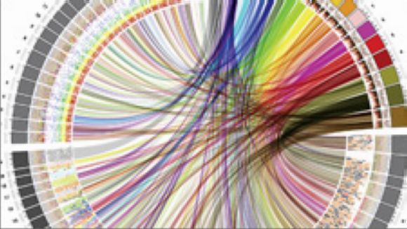 Què és la bioinformàtica amb Sònia Casillas, a 'El Pou'