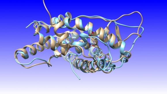 L'AEU proposa avui una conferència sobre la química sanitària