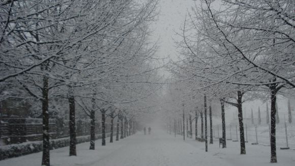 Protecció Civil posa en prealerta la comarca per perill de neu aquest dissabte