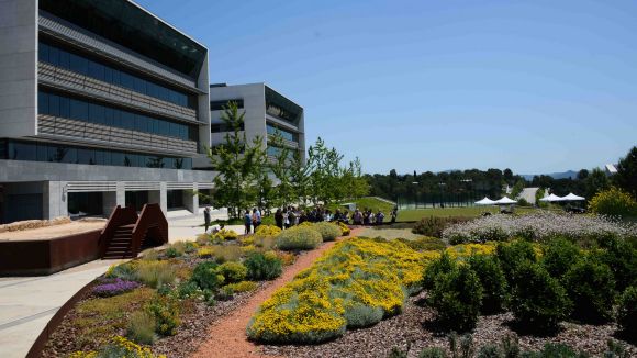 Sant Cugat estrena una reserva de papallones amb 41 espècies de plantes mediterrànies