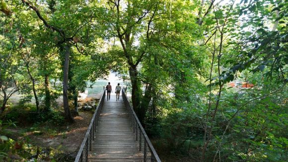 L'Ajuntament farà un tractament fitosanitari a l'arbrat del voltant del Parc Central avui a la nit