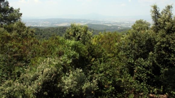 Activada la vigilància a la comarca per risc d'incendi forestal