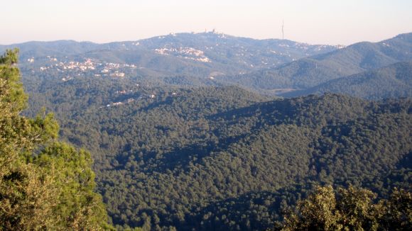 Collserola commemora el Dia Europeu dels Parcs amb activitats gratuïtes
