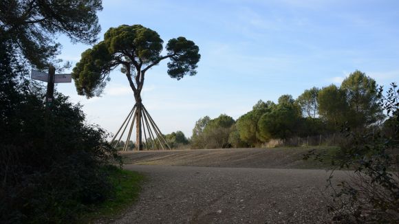 El col·lectiu Pi d'en Xandri + 20, banderers de Sant Medir, commemoraran l'efemèride de l'atac