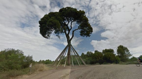 El Pi d'en Xandri, un dels 300 atractius turístics accessibles des del Google Street View
