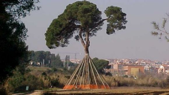 D'on ve el topònim del Pi d'en Xandri?