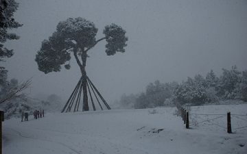 Jordi Torrijos: 'La inserció de la branca es farà a gran alçada'