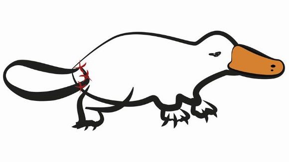 Presència local al llibre 'TRETZE petits grans relats', de l'Associació Cultural Platypus Arts