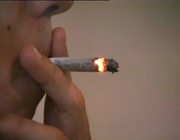 I aquest dijous al magazín...