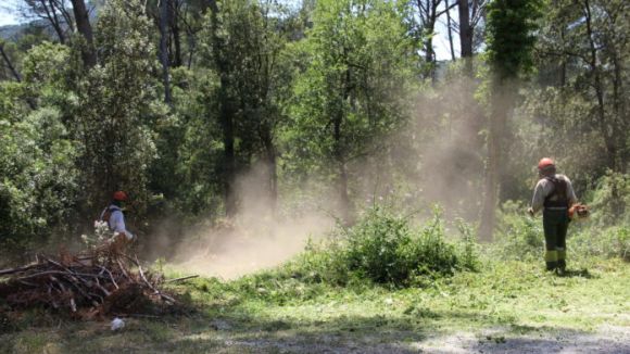 Valldoreix enllesteix la neteja de les franges de seguretat per a la campanya de prevenció d'incendis