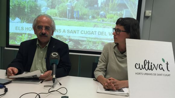 L'Ajuntament obrirà un concurs públic per a les entitats per gestionar nous horts urbans