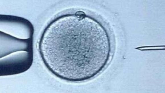 Fertilitat i reproducció assistida, a 'El Pou' amb Agustí Garcia (Cimab)