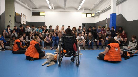 El programa 'Respétame' contra el 'bullying', al 'Gat i Gos' d'aquesta setmana
