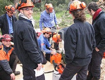 Nou persones contractades per la Generalitat retiraran els arbres caiguts de Collserola