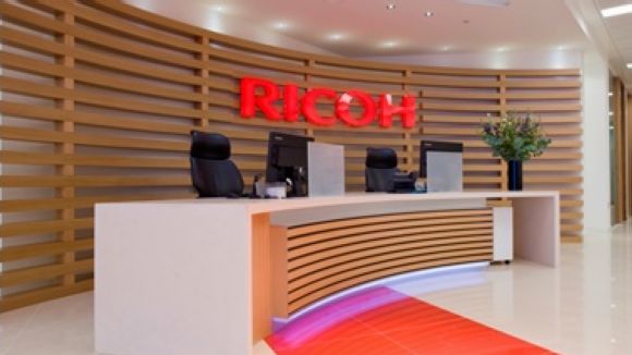 Ricoh organitza una jornada per millorar l'estany de la Guinardera