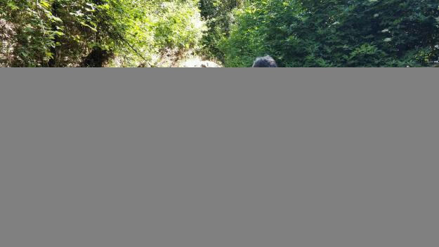 L'associació El Mussol determina que l'estat de la riera de Vallvidrera és de qualitat 'mediocre'