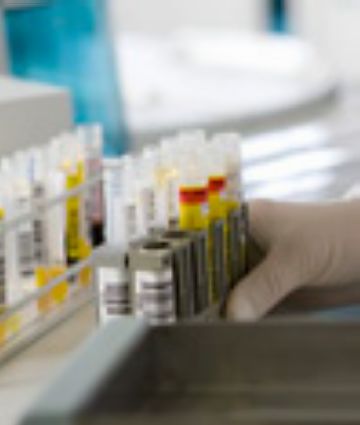 Alt: Dues farmacèutiques instal·lades a la ciutat, entre els 10 laboratoris que concentren el 80% del sector