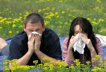Carles Martí: 'Una conjuntivitis o problemes respiratoris són simptomes d'una possible al.lèrgia'