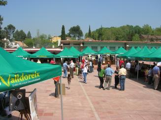 Valldoreix avança a diumenge la celebració de Sant Jordi
