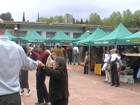 Alt: L'Ajuntament i l'EMD neguen haver fet enquestes sobre la independència de Valldoreix
