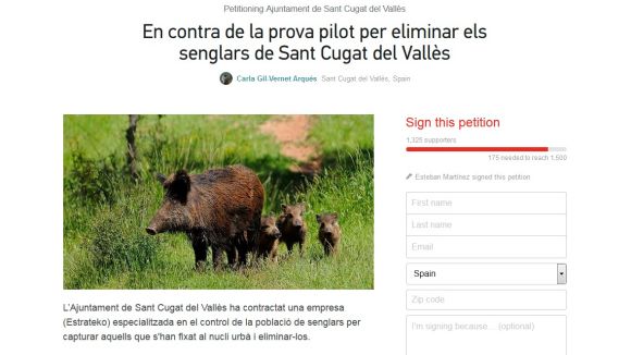 Change.org recull més de 2.500 suports contra l'eliminació de senglars a la ciutat