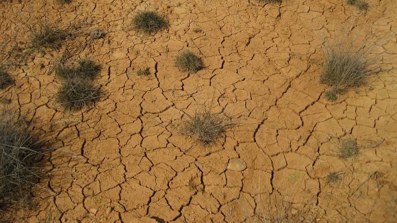 L'Ajuntament ofereix ajuda a les empreses per reduir l'efecte del canvi climàtic