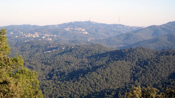 El Parc Natural de Collserola genera més de 230 llocs de treball