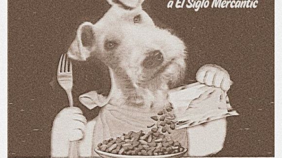 El Siglo acull un concert solidari per recollir material i aliments per a gossos