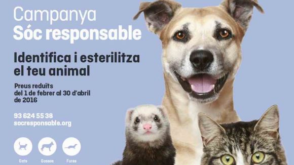 La campanya Sóc responsable permet esterilitzar animals domèstics a preu reduït