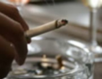 Carmela Fortuny: 'El pla vol prevenir les malalties cardiovasculars'