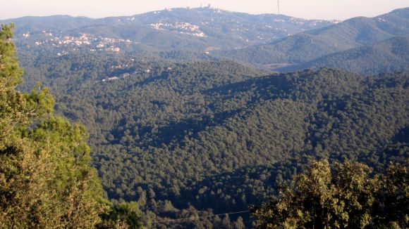 Les Planes es bolca amb la celebració del Dia Mundial del Medi Ambient