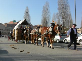 I aquest dijous al magazín...