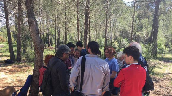 #VolpelleresViu demana protegir 1.500 arbres del bosc del barri