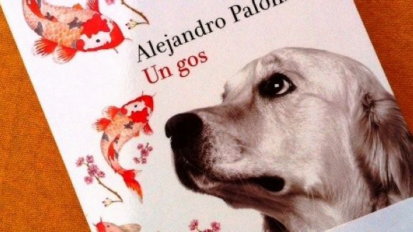 Alejandro Palomas presenta 'Un gos' a l'espai de literatura del magazín