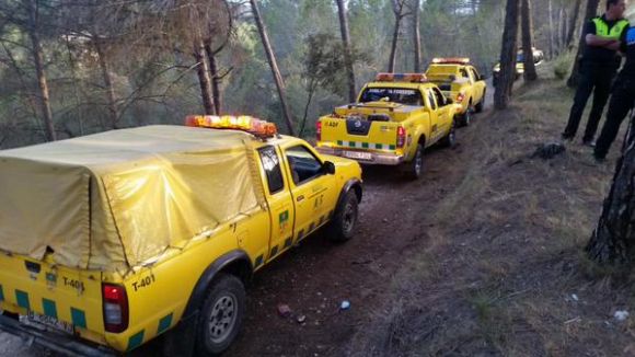 Un incendi crema 350 metres quadrats de zona forestal de Can Barata