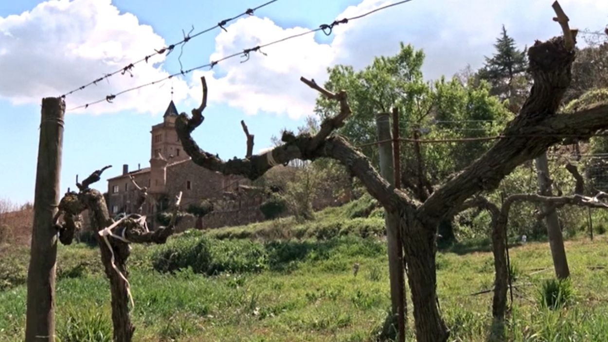 El Tast de Vins arriba a la desena edició amb un ple absolut