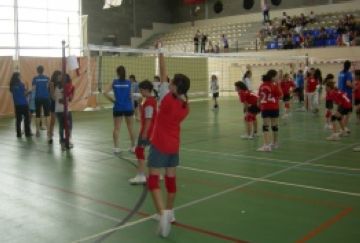 Alt: Els infants s'acomiaden del voleibol