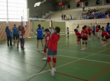 Comença el programa d'Esport en Edat Escolar