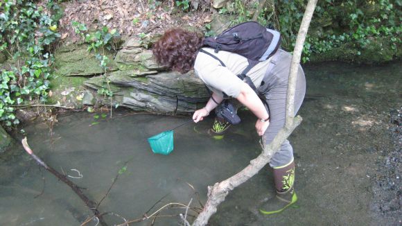 El Mussol organitza avui una nova inspecció de la riera de Vallvidrera