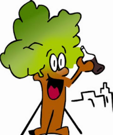 El Pi d'en Xandri gaudeix d'un bon estat de salut 10 anys després de l'agressió