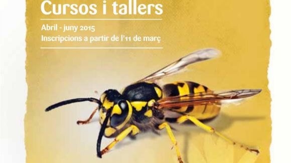 L'XCCP ofereix més de 200 cursos i tallers per al segon trimestre de l'any