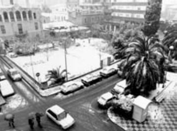 2004: Canvi d'ubicació del xiprer de Can Quitèria