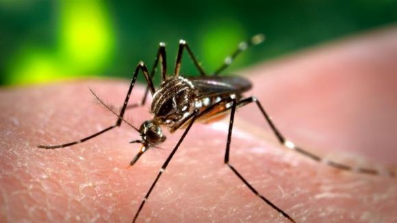 El virus Zika i la inestabilitat de la política espanyola, a la 'Tertúlia del poble' del SAF