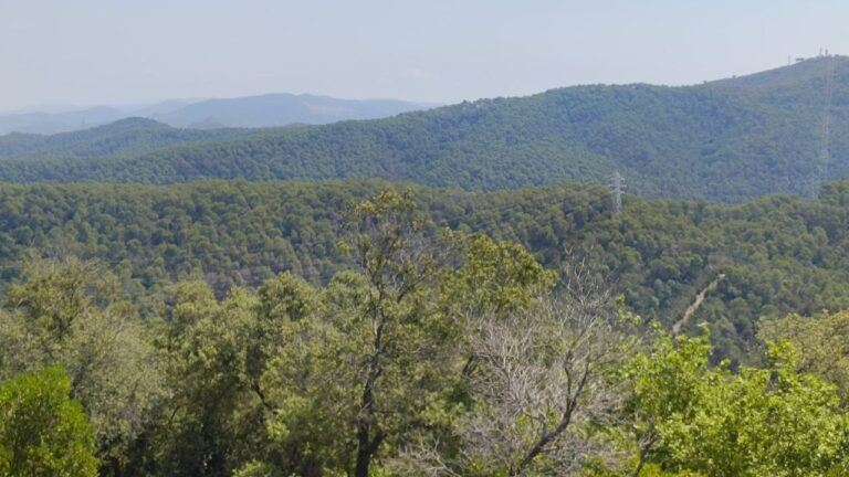 Passejades per Collserola: 'Serra de Na Joana. Sant Iscle' - Imatge destacada